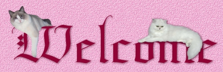 Attached Image