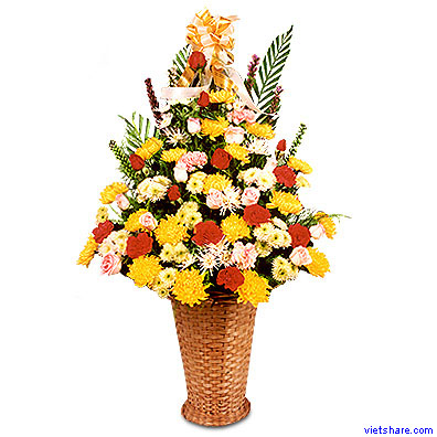 Attached Image